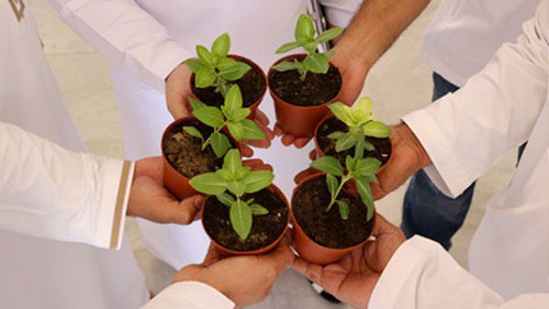 OMAN OIL MARKETING COMPANY CELEBRATES WORLD ENVIRONMENT DAY